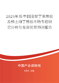 2025年版中國溶聚丁苯橡膠及稀土順丁橡膠市場專題研究分析與發展前景預測報告
