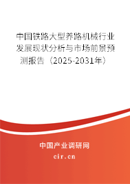 中國鐵路大型養路機械行業發展現狀分析與市場前景預測報告（2025-2031年）