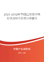 2025-2031年中國凸型管市場現狀調研與前景分析報告