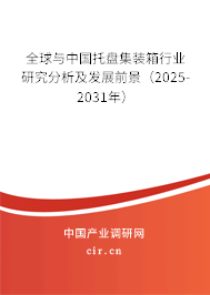 全球與中國托盤集裝箱行業研究分析及發展前景（2025-2031年）