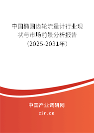 中國橢圓齒輪流量計行業現狀與市場前景分析報告（2025-2031年）