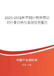 2025-2031年中國小額貸款公司行業分析與發展前景報告