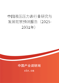 中國液壓壓力表行業研究與發展前景預測報告（2025-2031年）