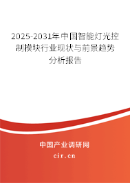 2025-2031年中國智能燈光控制模塊行業現狀與前景趨勢分析報告
