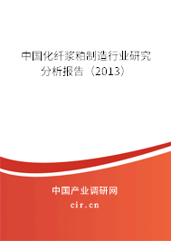 中國化纖漿粕制造行業研究分析報告（2013）