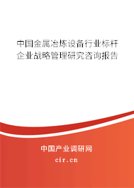 中國金屬冶煉設備行業標桿企業戰略管理研究咨詢報告