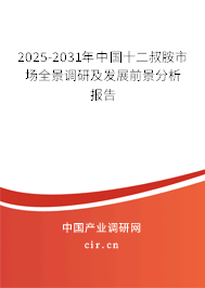 2025-2031年中國十二叔胺市場全景調研及發展前景分析報告