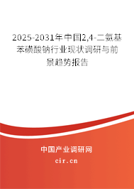 2025-2031年中國2,4-二氨基苯磺酸鈉行業(yè)現(xiàn)狀調研與前景趨勢報告