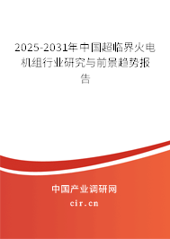 2025-2031年中國(guó)超臨界火電機(jī)組行業(yè)研究與前景趨勢(shì)報(bào)告