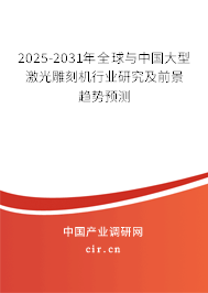 2025-2031年全球與中國大型激光雕刻機行業研究及前景趨勢預測