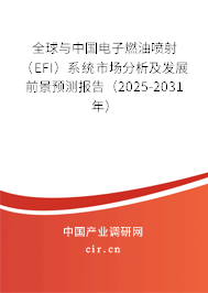 全球與中國電子燃油噴射（EFI）系統(tǒng)市場分析及發(fā)展前景預(yù)測報告（2025-2031年）