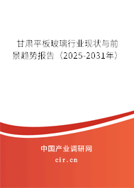 甘肅平板玻璃行業現狀與前景趨勢報告（2025-2031年）