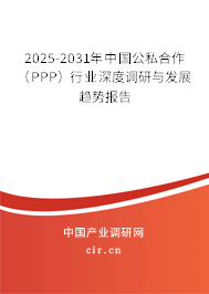 2025-2031年中國公私合作（PPP）行業深度調研與發展趨勢報告