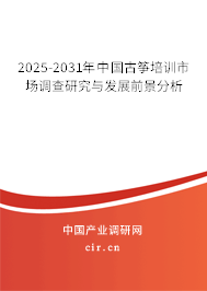 2025-2031年中國古箏培訓市場調查研究與發展前景分析