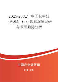 2025-2031年中國聚甲醛（POM）行業現狀深度調研與發展趨勢分析