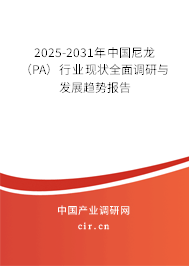 2025-2031年中國尼龍（PA）行業現狀全面調研與發展趨勢報告