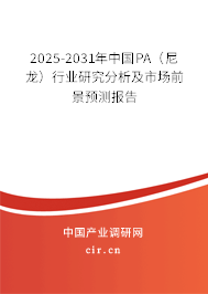 2025-2031年中國PA（尼龍）行業研究分析及市場前景預測報告