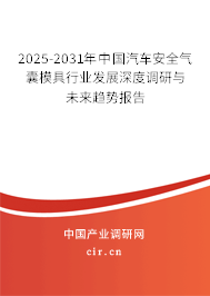 2025-2031年中國汽車安全氣囊模具行業發展深度調研與未來趨勢報告