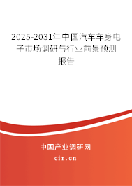 2025-2031年中國汽車車身電子市場調(diào)研與行業(yè)前景預(yù)測報告
