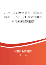 2024-2030年全球與中國熔鹽儲能（TES）行業發展深度調研與未來趨勢報告