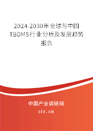 2024-2030年全球與中國TBDMS行業分析及發展趨勢報告