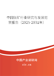 中國鈦礦行業研究與發展前景報告（2025-2031年）
