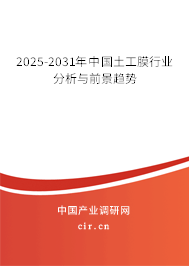2025-2031年中國土工膜行業分析與前景趨勢
