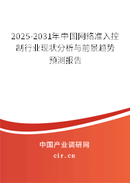 2025-2031年中國網絡準入控制行業現狀分析與前景趨勢預測報告