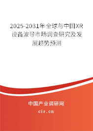 2025-2031年全球與中國XR設備波導市場調查研究及發展趨勢預測