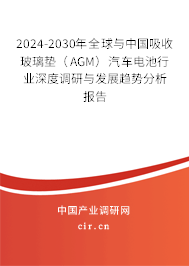 2024-2030年全球與中國吸收玻璃墊（AGM）汽車電池行業深度調研與發展趨勢分析報告