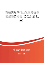 新疆天然氣行業(yè)發(fā)展分析與前景趨勢(shì)報(bào)告（2025-2031年）