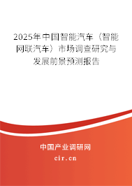 2025年中國智能汽車（智能網(wǎng)聯(lián)汽車）市場調(diào)查研究與發(fā)展前景預(yù)測報告