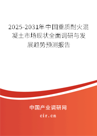 2025-2031年中國重質耐火混凝土市場現狀全面調研與發展趨勢預測報告