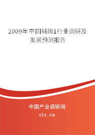 2009年中國輔酶1行業調研及發展預測報告
