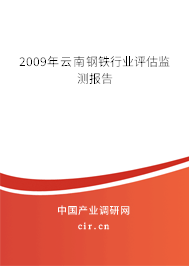 2009年云南鋼鐵行業評估監測報告