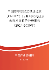 中國羧甲基羥乙基纖維素（CMHEC）行業(yè)現(xiàn)狀調(diào)研及未來發(fā)展趨勢(shì)分析報(bào)告（2024-2030年）