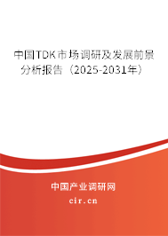 中國TDK市場調研及發展前景分析報告（2025-2031年）