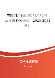 中國財產(chǎn)保險市場現(xiàn)狀分析及發(fā)展趨勢研究（2025-2031年）