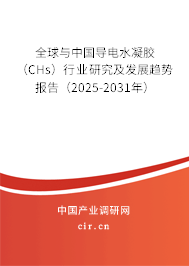 全球與中國導電水凝膠（CHs）行業(yè)研究及發(fā)展趨勢報告（2025-2031年）