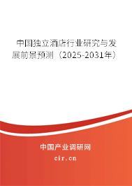 中國獨立酒店行業研究與發展前景預測（2025-2031年）