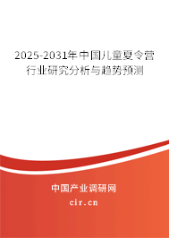 2025-2031年中國兒童夏令營行業研究分析與趨勢預測