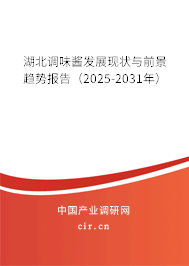 湖北調味醬發(fā)展現(xiàn)狀與前景趨勢報告（2025-2031年）