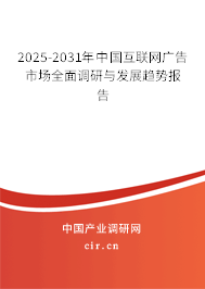 2025-2031年中國互聯網廣告市場全面調研與發展趨勢報告