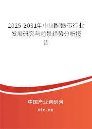 2025-2031年中國(guó)腳跟帶行業(yè)發(fā)展研究與前景趨勢(shì)分析報(bào)告