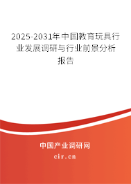 2024-2030年中國教育玩具行業發展調研與行業前景分析報告