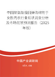 中國聚氨酯慢回彈海綿用于女性內衣行業現狀調查分析及市場前景預測報告（2025年版）