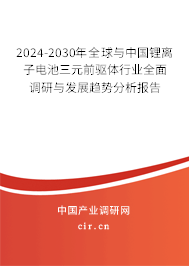 2024-2030年全球與中國鋰離子電池三元前驅體行業全面調研與發展趨勢分析報告