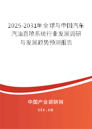 2024-2030年全球與中國汽車汽油直噴系統行業發展調研與發展趨勢預測報告