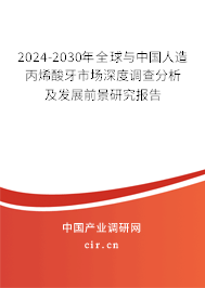 2024-2030年全球與中國人造丙烯酸牙市場深度調查分析及發展前景研究報告