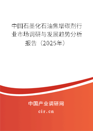 中國石墨化石油焦增碳劑行業市場調研與發展趨勢分析報告（2025年）